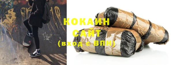 шишки Медвежьегорск