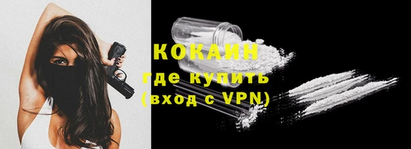 шишки Медвежьегорск