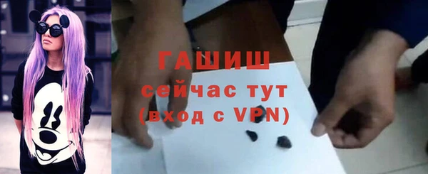 шишки Медвежьегорск