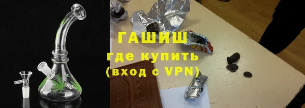 шишки Медвежьегорск