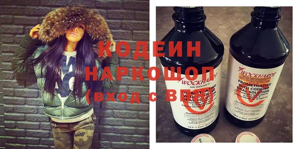 шишки Медвежьегорск