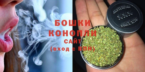 шишки Медвежьегорск