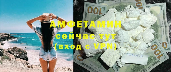 шишки Медвежьегорск