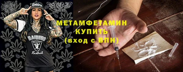 шишки Медвежьегорск