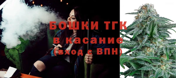 шишки Медвежьегорск