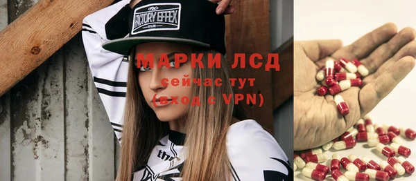 шишки Медвежьегорск