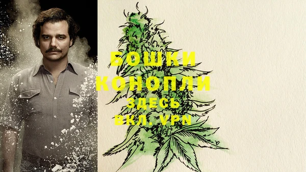 шишки Медвежьегорск