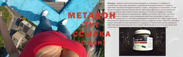 шишки Медвежьегорск