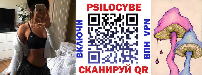 Купить где  Мамоново  Галлюциногенные грибы Cubensis 
